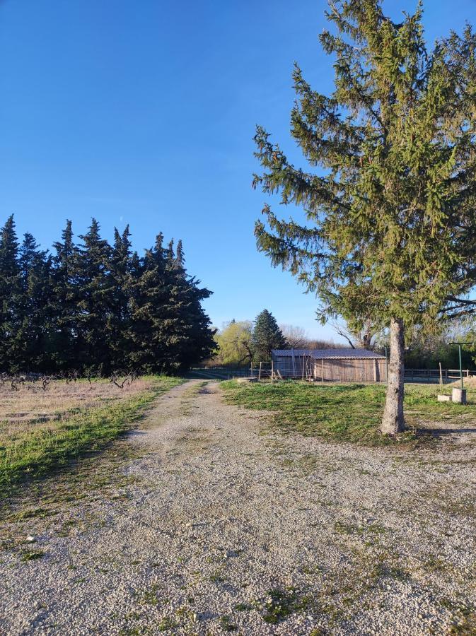 Maison A La Campagne Bouchet  Екстериор снимка