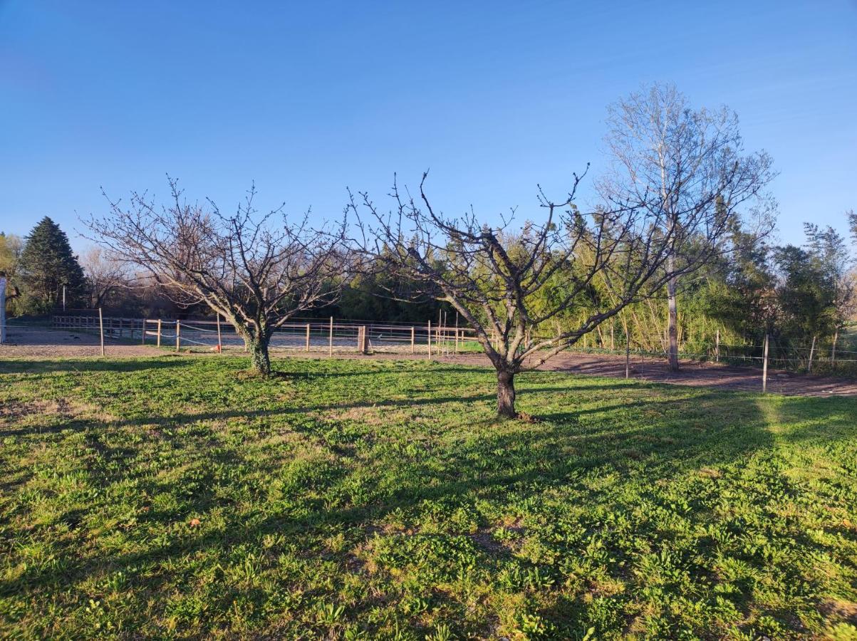 Maison A La Campagne Bouchet  Екстериор снимка